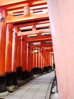 Torii no michi3